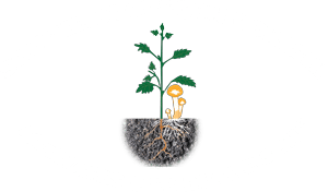 Southern Oregon Bokashi Logo