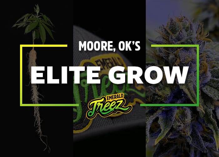 moore-elite-grow